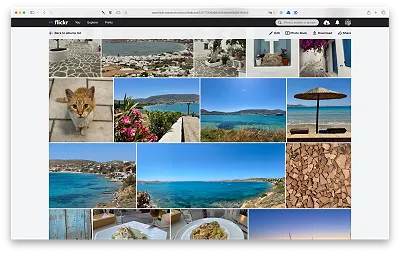 Pictures of food and cats from your break in Paros